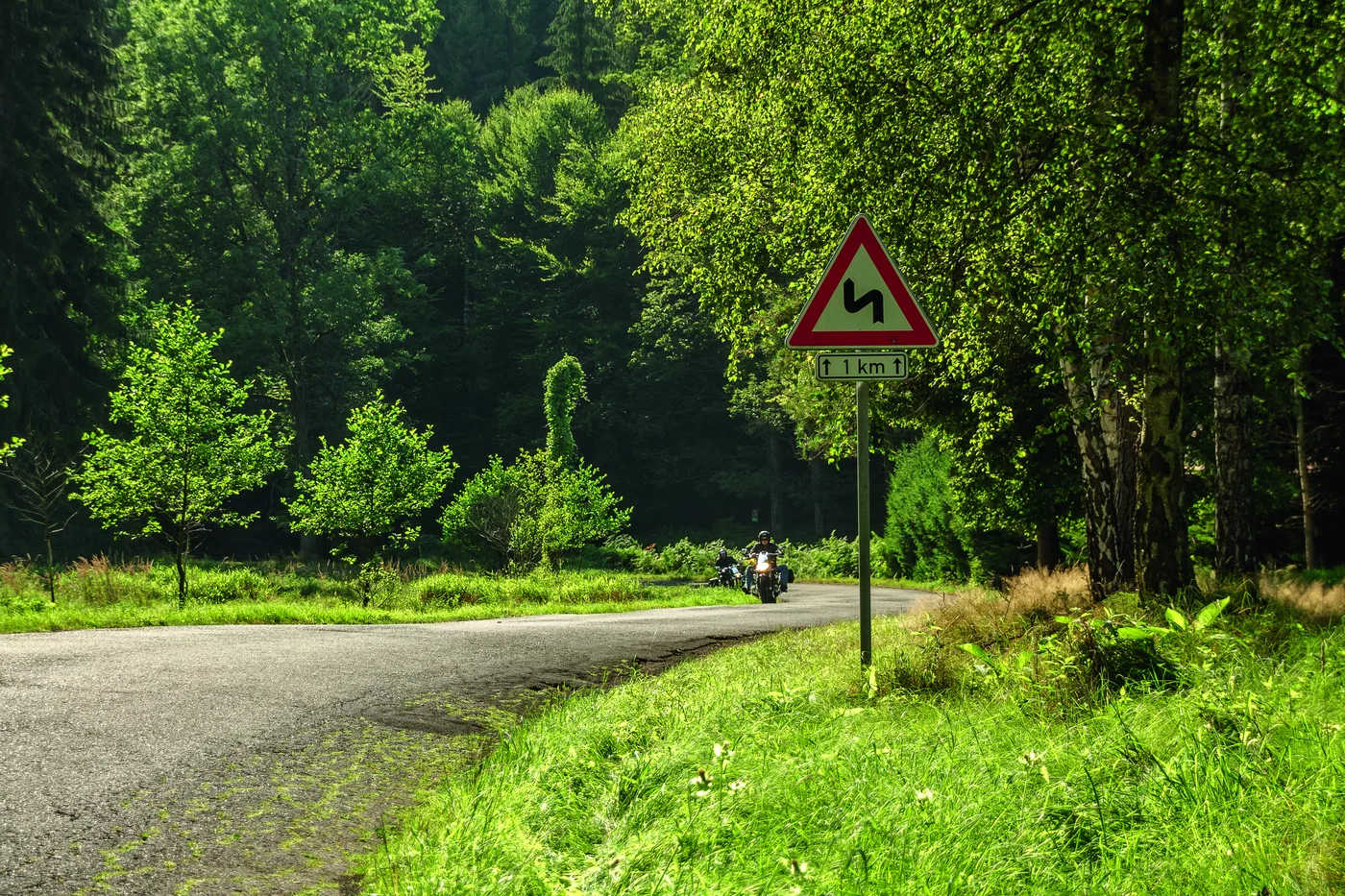 Kurvige Waldstraße mit Kurvenwarnschild Kurvige Waldstraße mit Kurvenwarnschild